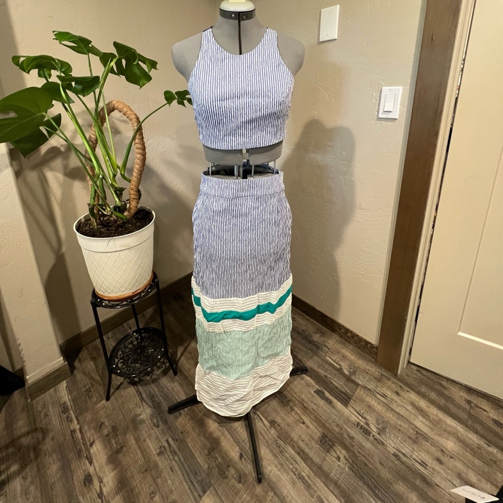 Flagpole Kate Crop Top and Flagpole Nadine Skirt set